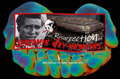 The Resurrection of Screamin' Jay Hawkins Band performs live shows taking you back in time to the music of Screamin' Jay Hawkins.