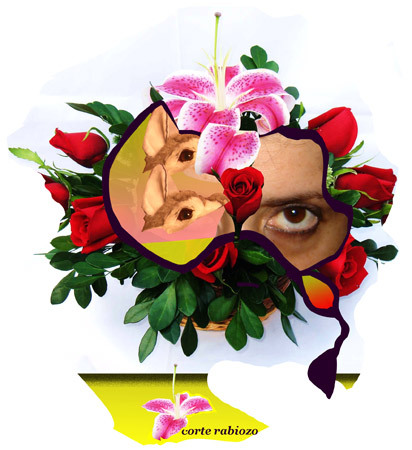 lelox76's profile picture. deseo hacer conocer mi ropa con tecnologias