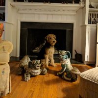 Jennifer Wilson (@jchjw) 's Twitter Profile