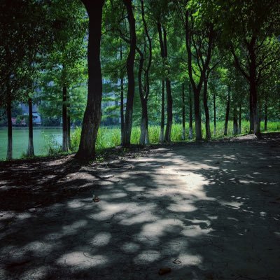vincent56474188's profile picture. 欢迎来到我的博客https://t.co/tHYileX2Cm。人到中年开始自学！