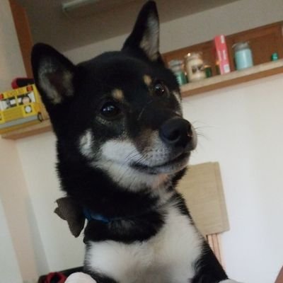 BakkenBen's profile picture. 