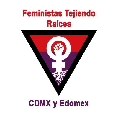 Colectiva de feministas abolicionistas mexicanas, independientes, sin fines de lucro ni filiación con ningún partido político o entidad gubernamental ♀