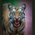 praveen (@guruji8899) Twitter profile photo praveen (@guruji8899) Twitter profile photo