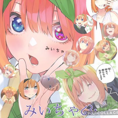 みいちゃ໒꒱· ﾟさんのプロフィール画像