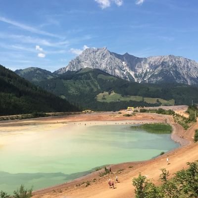 Is it possible to create new habitats from old quarries for animal and plants? 🌱
Convince yourself on our Page & Website!⛰
#backtonature #quarry