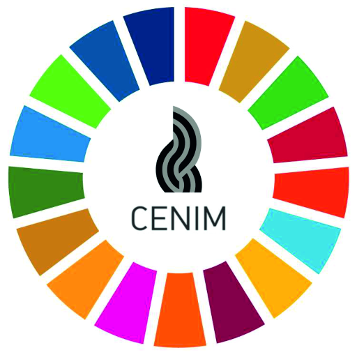CENIM - CSIC Profile