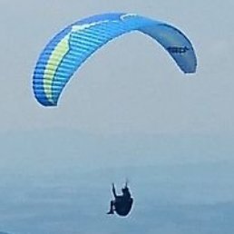 PatrickImboden's profile picture. #Bitcoin