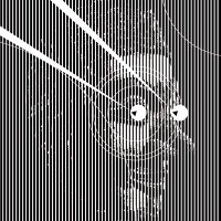 bulabula (@hugowuli) 's Twitter Profile