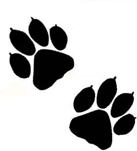 kcwoerden's profile picture. Voor elk wat wils op hondentraining gebied, zie website voor meer info