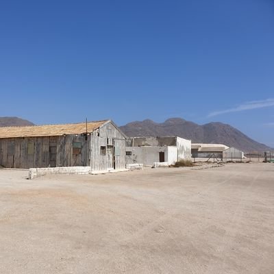 _GE_x_'s profile picture. 💫🐃