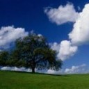 oaktg's profile picture. Sustainable IT solutions for small to medium businesses (SMBs) by maximizing data center efficiency, automation and scalability.