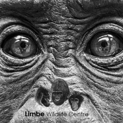 LimbeWildlife Profile Picture