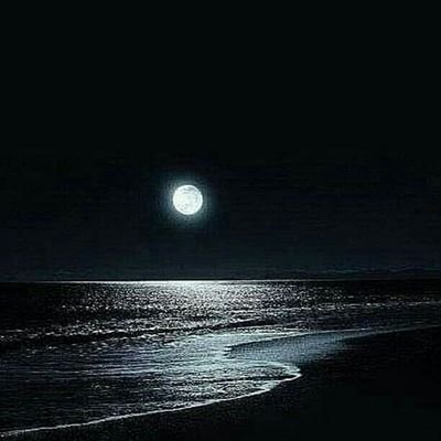 Kody_black25's profile picture. #kodyblaqcreator
#starboyEnt.
#Manunitedfc.