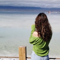 Aunty13 (@aunty13_lee) 's Twitter Profile