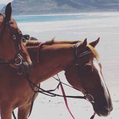 Halsumaiti's profile picture. 𝕎𝕣𝕚𝕥𝕚𝕟𝕘 𝕚𝕤 𝕢𝕦𝕒𝕣𝕥𝕖𝕣 𝕠𝕗 𝕞𝕖, 𝕙𝕠𝕣𝕤𝕖𝕤 𝕒𝕣𝕖 𝕒𝕟𝕠𝕥𝕙𝕖𝕣 𝕢𝕦𝕒𝕣𝕥𝕖𝕣 .. & 𝕥𝕙𝕖 𝕣𝕖𝕤𝕥 𝕒𝕣𝕖 𝕒𝕝𝕝 𝕒𝕓𝕠𝕦𝕥 𝕞𝕖 𝕒𝕤 𝕀 𝕒𝕞