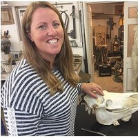 Horses Inside Out (@horsesinsideout) 's Twitter Profile