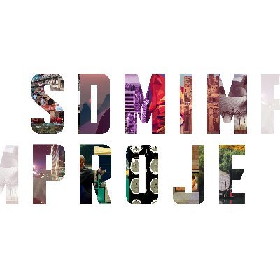 sdmimproje Profile Picture