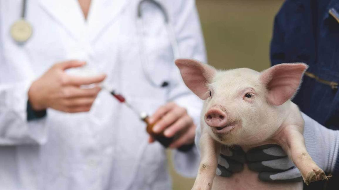 Keep antibiotics effective is a group that advocates for the use of antibiotics in animal agriculture and provides information on its effects.