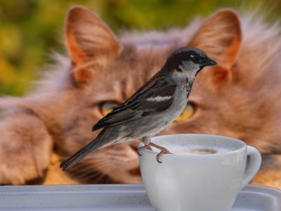 #Photographer at @FunnyPi60826731
https://t.co/M08hae644X