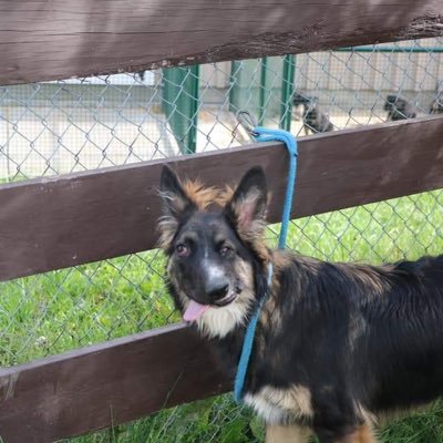 DrFaustEsq's profile picture. music