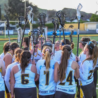 Girls high school lacrosse team