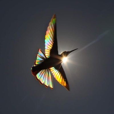 moodvendredi's profile picture. don’t belong here