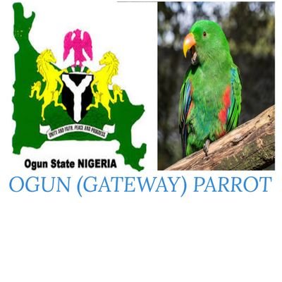 OgunParrot's profile picture. Faceless yet living, nameless yet popular, the conscience of the masses, the voice for the oppressed, the nightmare of the wicked ones. ogunparrot