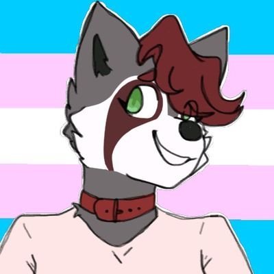 Lynks RPさんのプロフィール画像