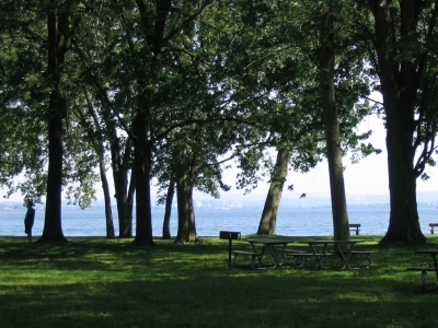 Syracuse Parks Conservancy: Protection,Preservation and Restoration of our Parks