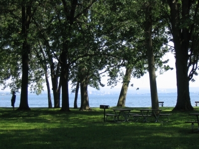 Syracuse Parks Conservancy:   Protection,Preservation and Restoration of our Parks