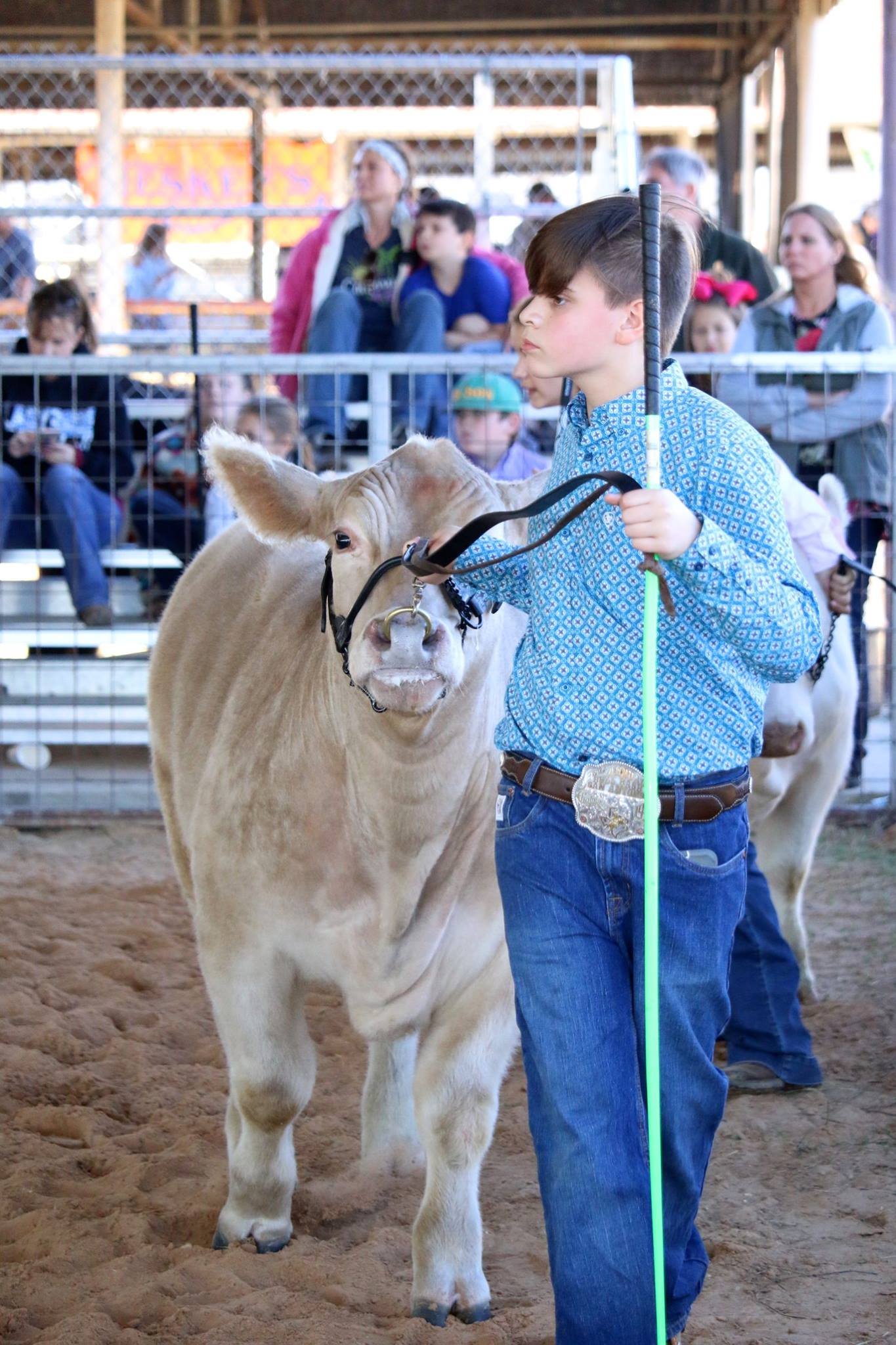 Tarrant County Jr. Livestock Association is a non-profit 501(c)(3) committed to building the future through our youth. We believe that hard work, determination