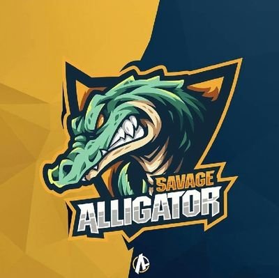 Savage_Esportif's profile picture. 🇫🇷 | French eSport and Clan organisation based on @fortniteGame • 🇫🇷 | owners by @v4_Yuneii ,