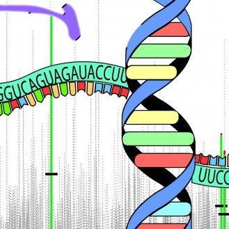 Strug Lab Profile