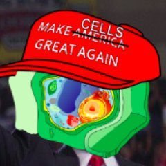 cellwall20201's profile picture. 
