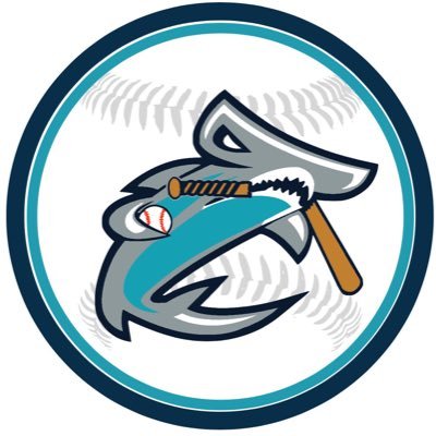 Official twitter of Honolulu Hammerheads fantasy baseball #headsbaseball