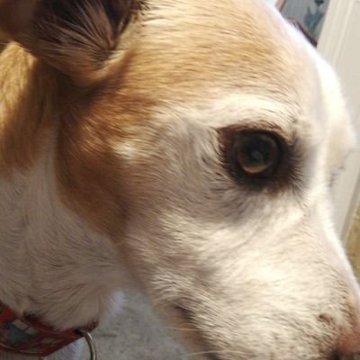 HartCazzahart's profile picture. 