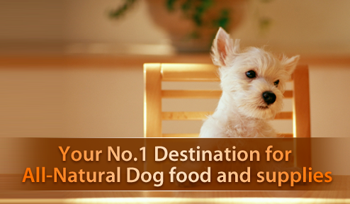 Contact Details: Head Office 





Dog Food and Health

Tel: 01892 800 158, Pentile Chambers, Royal Tonbridge Wells, Kent, TN1 1XP