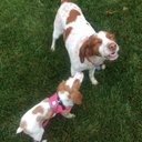 george ewing - @georgee58282795 - Twitter