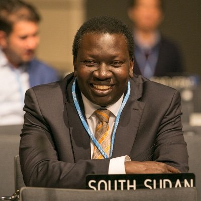 Undersecretary, Ministry of Environment and Forestry
Republic of South Sudan.