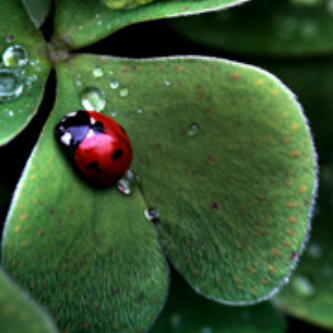 catehyndman's profile picture. Hockey and Softball Mom. Travel the Province watching my girls show off their talents!!