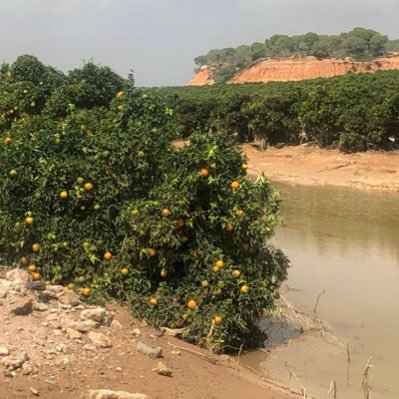 Cada día nuevos desastres climáticos, yo vivo protegido y seguro