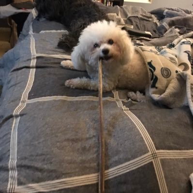 planet_peril's profile picture. #Datascientist joining the dialogue around our #climateemergency. Time to save #ourplanetearth.