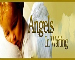 Dedicated to recruiting qualified nurses to provide loving homes, & other needed services for medically fragile foster care infants and children.