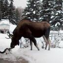 Nick Rea - @stpetedncr - Twitter