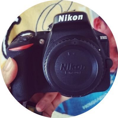 みそさんのプロフィール画像