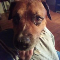 End Days Are Upon US(A) (@timclay1963) 's Twitter Profile