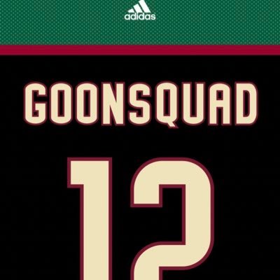 GOONSQUAD HOCKEY CLUB of the Seneca HarborCenter Adult Hockey League -Buffalo, NY-