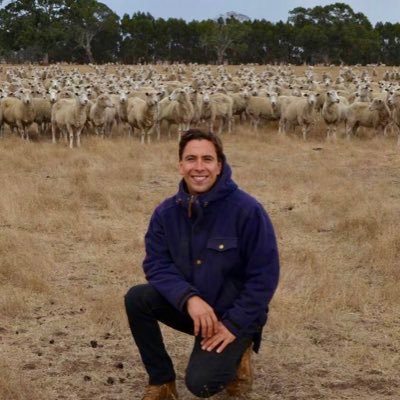 Prime lamb producer. Nuffield Scholar 2020