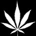 NugDatabase (@nugdatabase) Twitter profile photo NugDatabase (@nugdatabase) Twitter profile photo