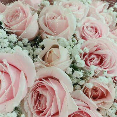 chachapardede's profile picture. 